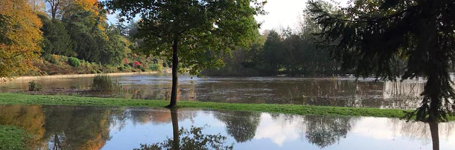 A flooded field at Weir Garden, National Trust property
