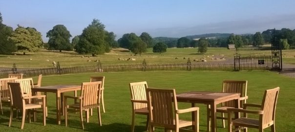Three teak outdoor dining tables with four chairs around each one on a lawn overlooking a field of sheep