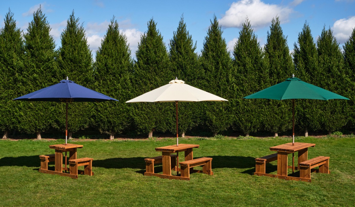 parasols on a lawn with picnic tables